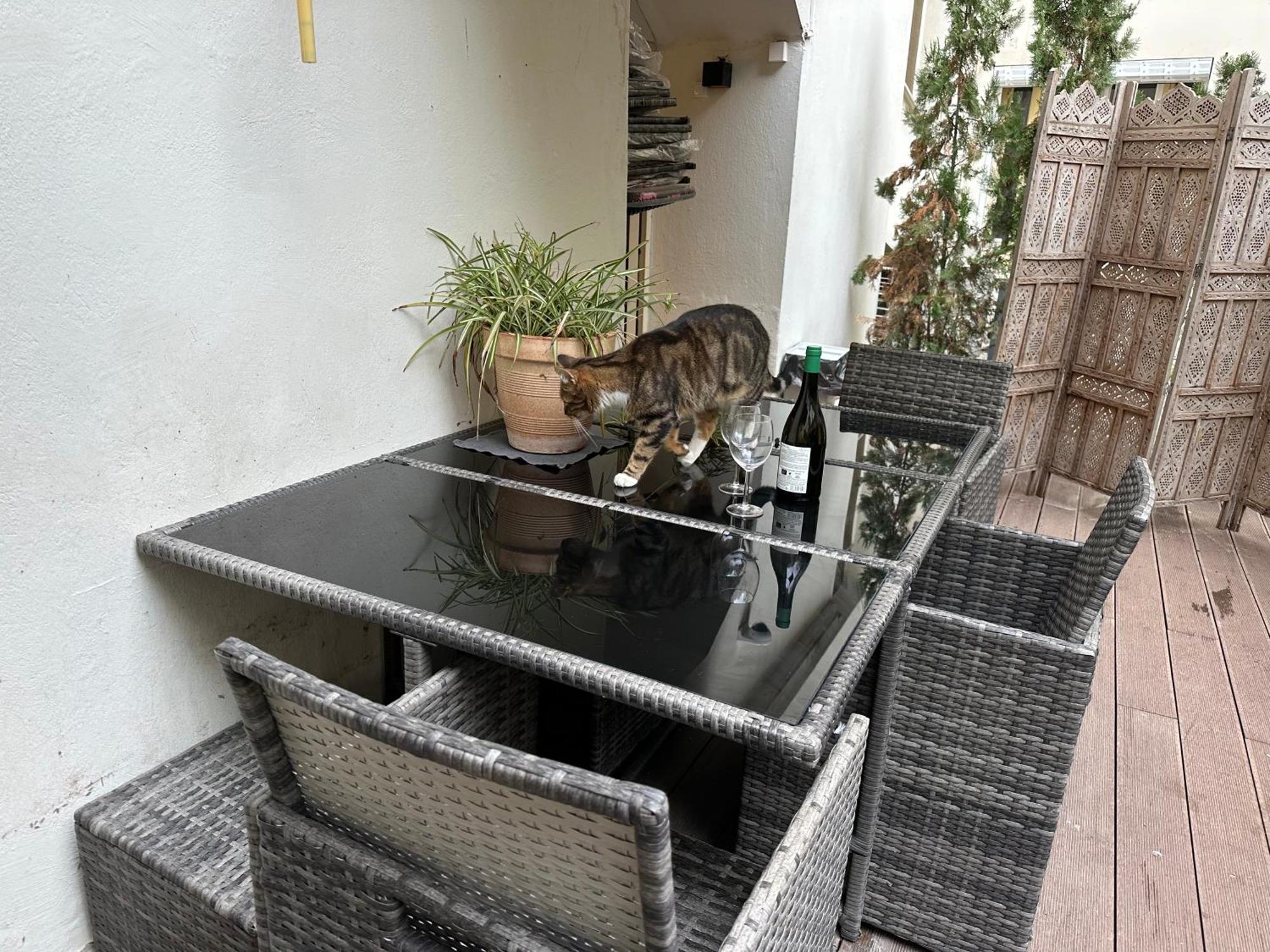 Apartamento Promenade Des With Ac Near Negresco *